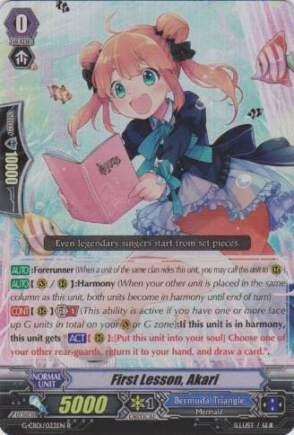 First Lesson, Akari