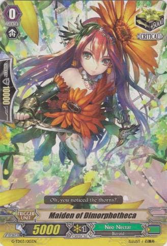 Maiden of Dimorphotheca