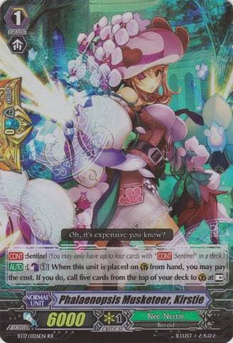 Phalaenopsis Musketeer, Kirstie