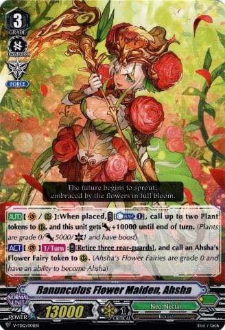 Ranunculus Flower Maiden, Ahsha
