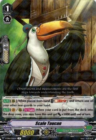 Scale Toucan