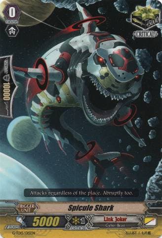 Spicule Shark