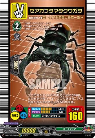 Parry Stag Beetle