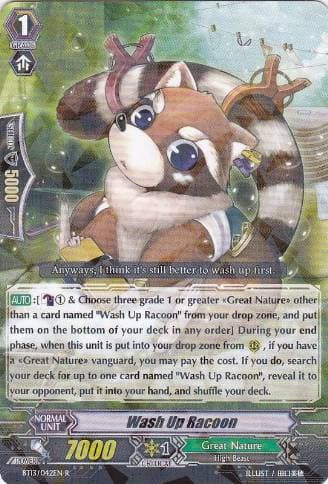 Wash Up Racoon