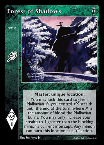Forest of Shadows