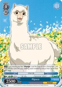 Alpaca