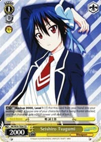 Seishiro Tsugumi (TD)