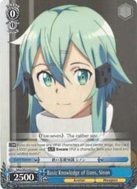 Basic Knowledge of Guns, Sinon