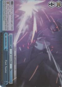 Past Name (Parallel Foil)