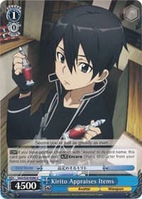 Kirito Appraises Items
