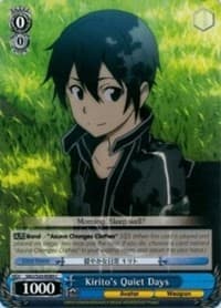 Kirito's Quiet Days