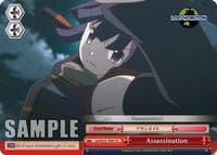 Assassination