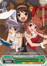 Bunnygirl, Haruhi & Nagato & Mikuru