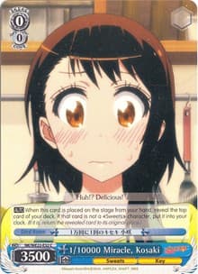 1/10000 Miracle, Kosaki