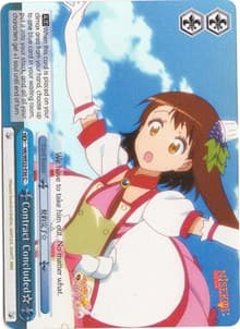 Contract Concluded (Parallel Foil)