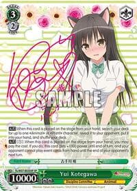 Yui Kotegawa (SP)