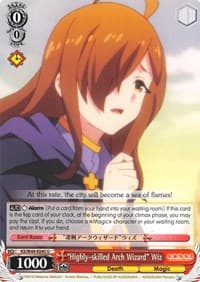"Highly-skilled Arch Wizard" Wiz