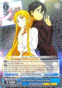 "SAO Survivor" Asuna & Kazuto