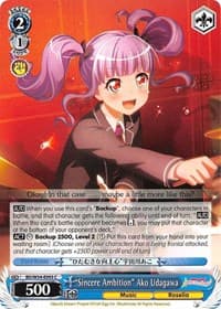 "Sincere Ambition" Ako Udagawa