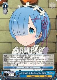 A Flower in Each Arm, Rem