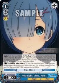 Midnight Visit, Rem