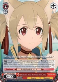Information About the Virtual World, Silica