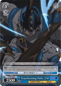 Transforming Path, Z.M