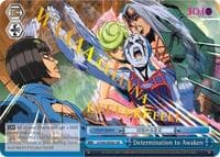 Determination to Awaken (JJR) (Gold Stamp)
