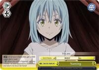Naming (SR)