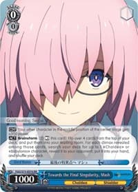Towards the Final Singularity, Mash