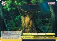 Maple Tree