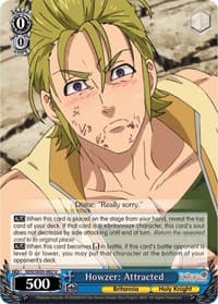 Howzer: Attracted