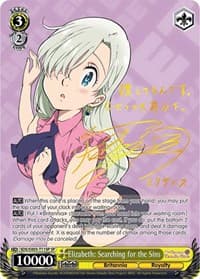 Elizabeth: Searching for the Sins (SP)