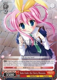 Shalo Under the Cherry Blossoms