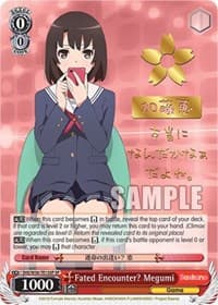 Fated Encounter? Megumi (SP)