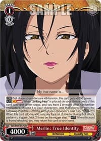 Merlin: True Identity (SR)
