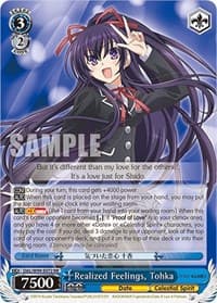 Realized Feelings, Tohka