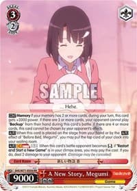 A New Story, Megumi