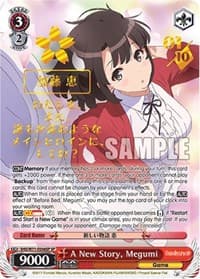 A New Story, Megumi (SP)
