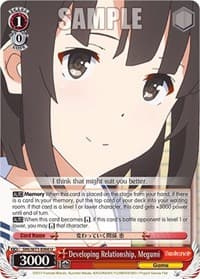 Developing Relationship, Megumi