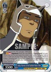 Sokka: Warrior of the Southern Water Tribe
