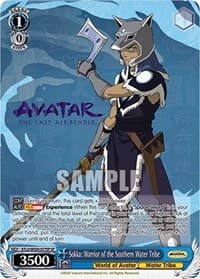 Sokka: Warrior of the Southern Water Tribe (SP)