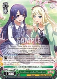"Cherry Blossoms in the Bento" Tamao & Fumi