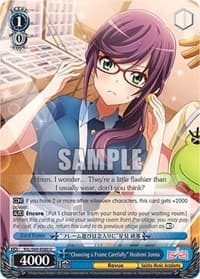 "Choosing a Frame Carefully" Hoshimi Junna