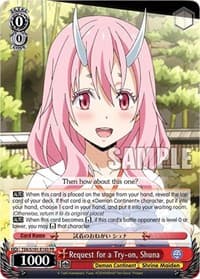 Request for a Try-on, Shuna