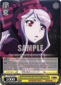 Confirming the Operation, Shalltear