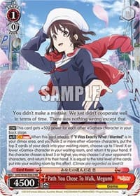 Path You Chose To Walk, Megumi