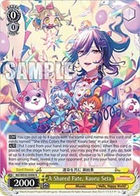A Shared Fate, Kaoru Seta