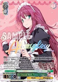 An Unusual Maid, Tomoe Udagawa (BDR)
