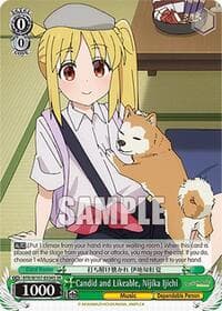 Candid and Likeable, Nijika Ijichi (SR)
